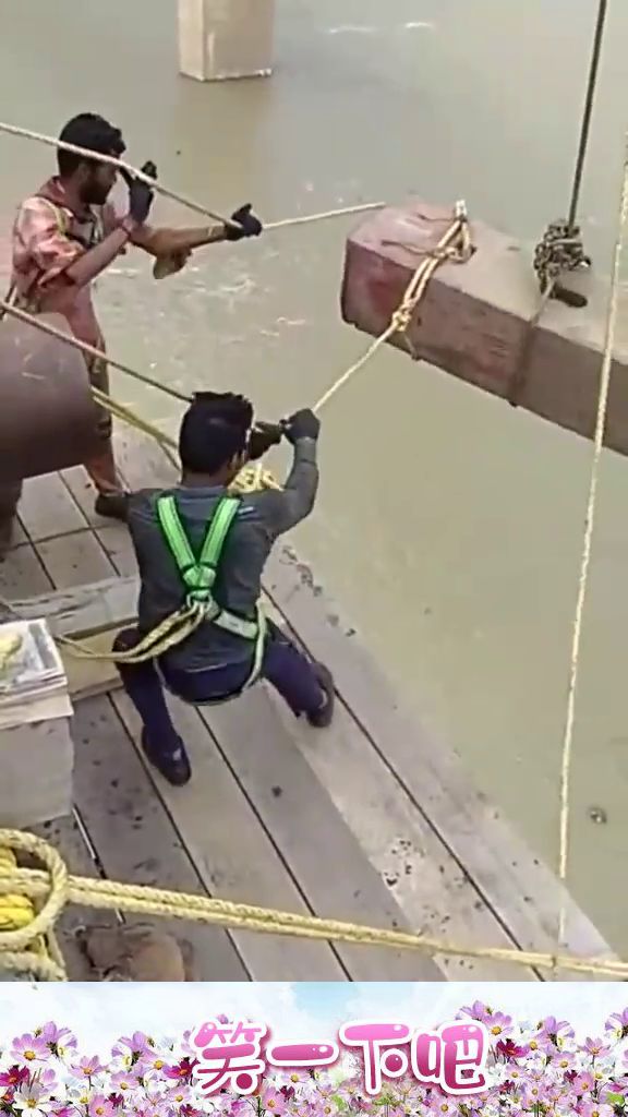 拥抱变化,自信闪耀,啊杵最新动态