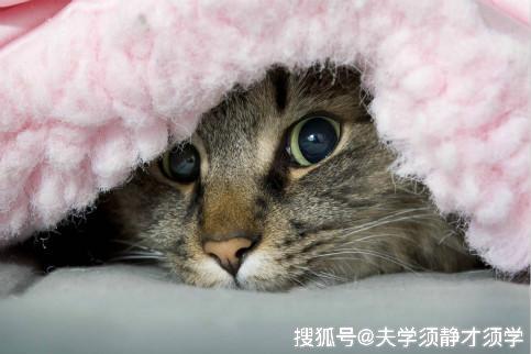 小型冷库设计 第17页