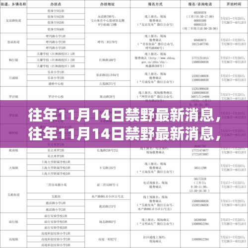 城市野趣日常,禁野最新动态