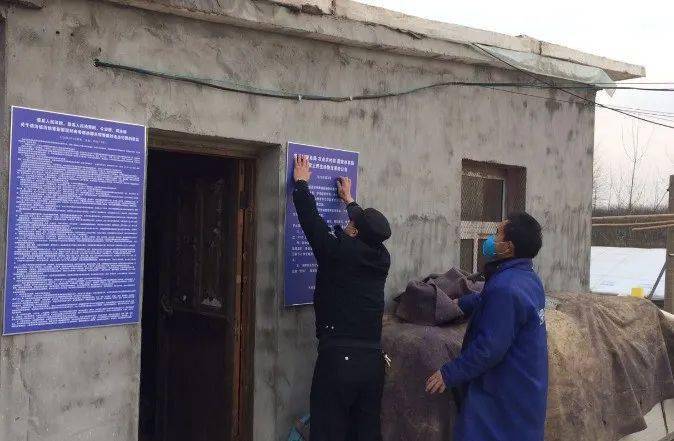 城市野趣日常,禁野最新动态