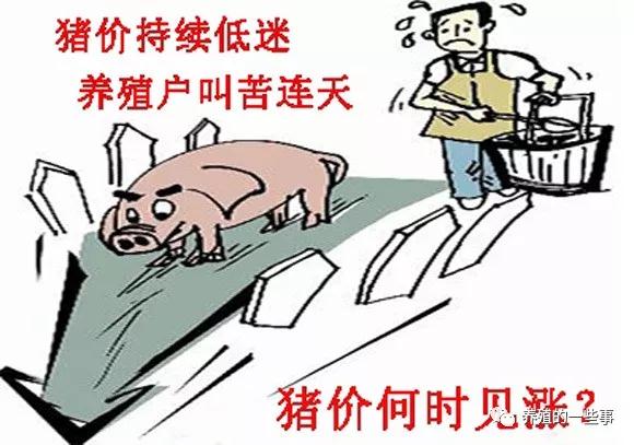隐秘小巷宝藏，特色小店在低迷市场中的探索之旅