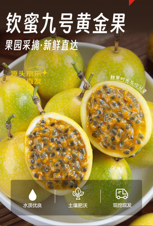 热带水果新星,最新黄金果介绍