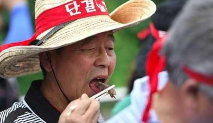 狗肉最新禁令引发动物权益与文化争议热议